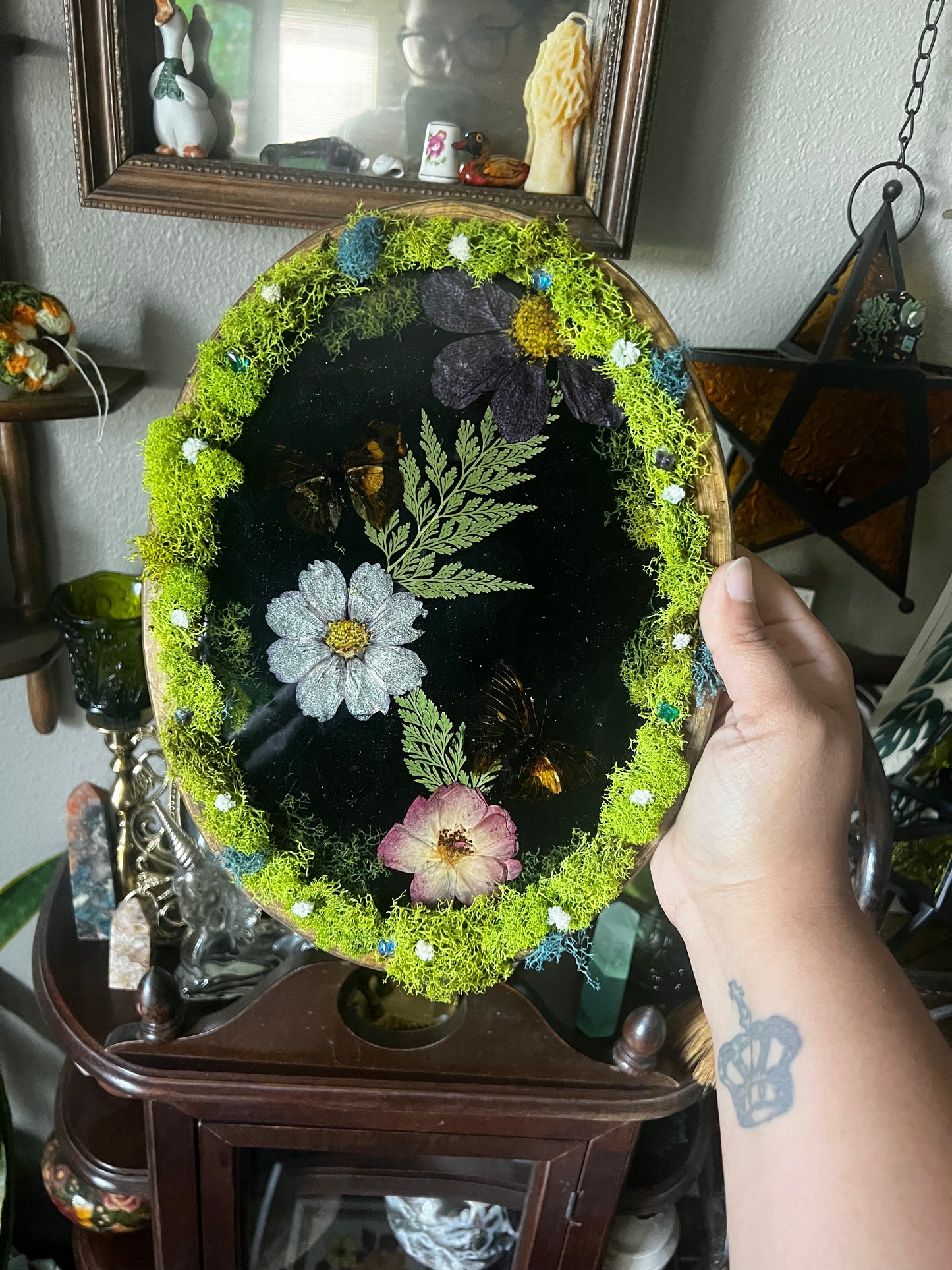 real butterfly resin plaque