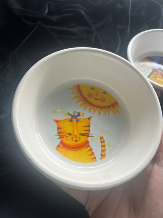 Cat Dishes
